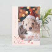 サンタ来ポーズドッグフォトピーチクリスマス シーズンカード (スタンド正面)