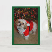 サンタ来ーポーズ！ カード (正面)