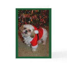 サンタ来ーポーズ！