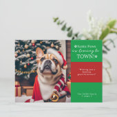 サンタ来ー・ポーズが街に！おもしろい犬写真 シーズンカード (スタンド正面)