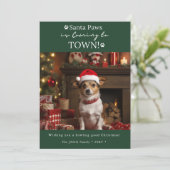 サンタ来ー・ポーズは町にダークグリーンの犬の写真 シーズンカード (スタンド正面)