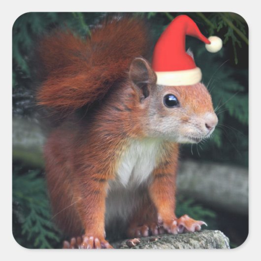 サンタ爪シール スクエアシール (正面)