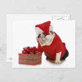 サンタ犬 – サンタに似たイギリスのブルドッグ シーズンポストカード (正面/裏面)