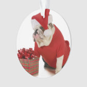 サンタ犬-サンタのように服を着る英国のブルドッグ オーナメント (正面)