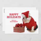 サンタ犬-サンタのように服を着る英国のブルドッグ シーズンカード (正面/裏面)