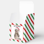 サンタ猫かわいいおもしろいクリスマス猫お願いボックス フェイバーボックス (オープン)