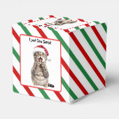 サンタ猫かわいいおもしろいクリスマス猫お願いボックス フェイバーボックス (裏面サイド)
