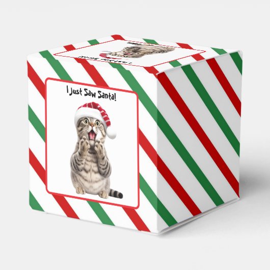 サンタ猫かわいいおもしろいクリスマス猫お願いボックス フェイバーボックス (裏面サイド)