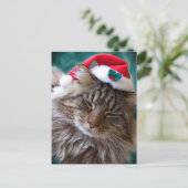 サンタ猫はがき シーズンポストカード (スタンド正面)