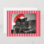 サンタ猫ストライプのクリスマスハガキ ポストカード (正面/裏面)