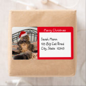 サンタ猫メリークリスマス無料ラベル ラベル (インサイチュ)