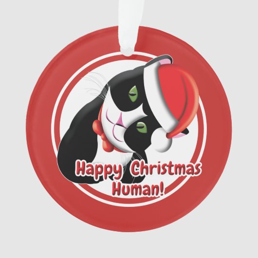 サンタ猫 オーナメント (正面)