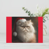 サンタ猫Tシャツ、クリスマスペルシャ猫 シーズンカード (スタンド正面)