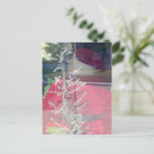 サンタ目撃 シーズンポストカード (スタンド正面)