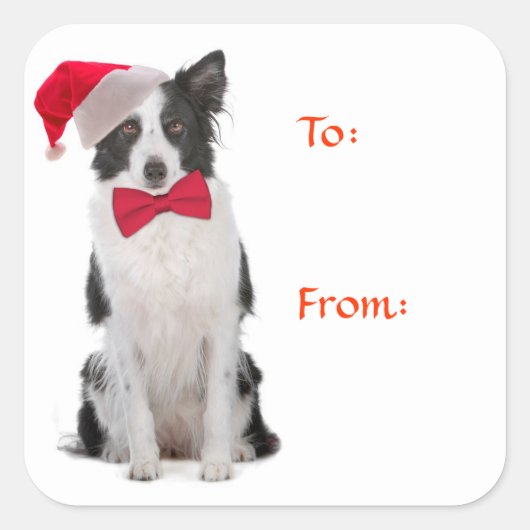 サンタ縁どコリーギフトラベル スクエアシール (正面)