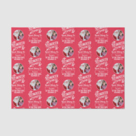 サンタ表現フォトクリスマスレッドからのトナカイ 薄葉紙