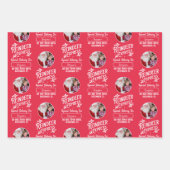 サンタ表現ン名写真クリスマスからのトナカイ ラッピングペーパーシート (正面)