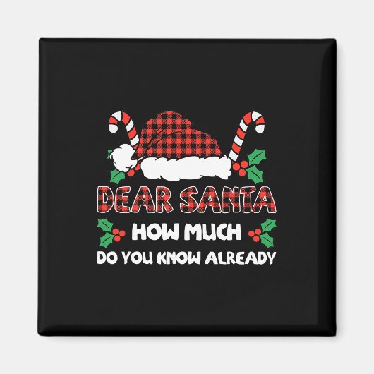 サンタ親愛さんクリスマスの事は知ってる？ マグネット (正面)