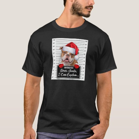 サンタ親愛はクリスマスの古いエンリおもしろいーを説明できる Tシャツ (正面)