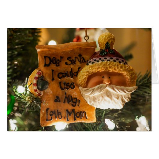 サンタ親愛はハグカードが使える (正面横)