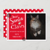 サンタ親愛ツメおもしろい猫写真 シーズンカード (正面/裏面)