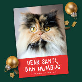 サンタ親愛バのペッおもしろいト写真 シーズンカード