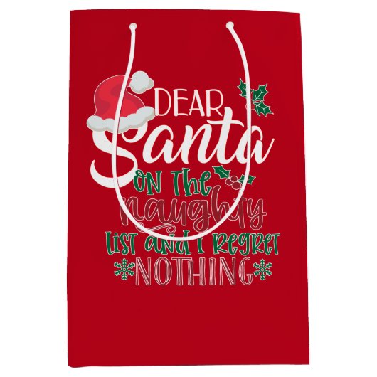 サンタ親愛ペーパーバッグ ミディアムペーパーバッグ (正面)