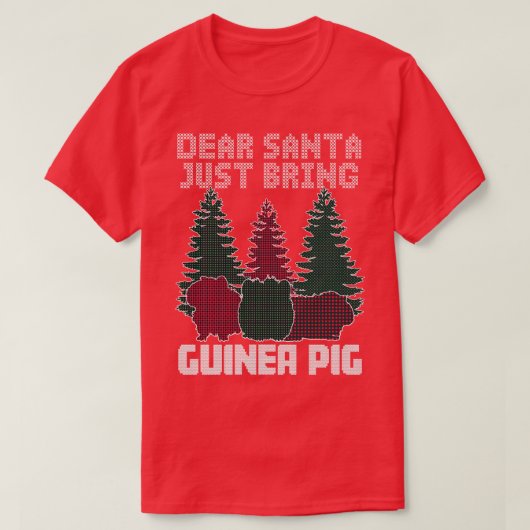 サンタ親愛ーがモルモットを連れて来る Tシャツ (デザイン正面)