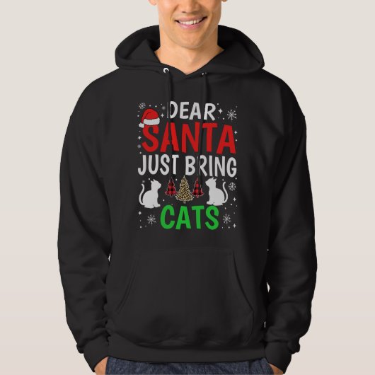 サンタ親愛ーが猫を連れおもしろいて来るクリスマス パーカ (正面)
