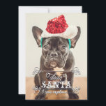 サンタ親愛ー休日の写真カードを説明できる シーズンカード<br><div class="desc">おもしろい写真のクリスマスフォトお気に入りのカード。「サ読ン親愛タ、説明できる…」。「説明できる」ともし言いたい文字を修正できる。裏面に自分の名前、ペット名、または家族の名前でパーソナライズする。背景のカスタマイズ色を指定できる。トレンディー図解入りの、写真付きの旋回、フレーム、スクリプトフォントを使用。おもしろい向けの完璧な休日グリーティングカード。写真撮影:イヴォナ・アントニーク。***フォントのフォントもしまたはサイズを変更すると、発表のプリントが変更される可能性があることに注意してください。それはプリントあなたのモニター上で見る方法を見る。私は一度それを注文した後、あなたのカードが表示されない、そしてZazzleは何も編集しない(タイポス、アラインメントなど)。基本紙 |写真を調整すカスタマイズるには「IT」ボタンを使用</div>