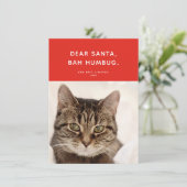 サンタ親愛、バフンバグ。おもしろい休日の写真 シーズンカード (スタンド正面)