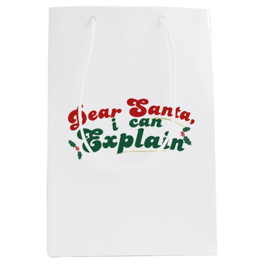 サンタ親愛、説明できる – フェスティバル休日 ミディアムペーパーバッグ (正面)