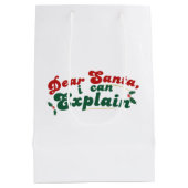 サンタ親愛、説明できる – フェスティバル休日 ミディアムペーパーバッグ (裏面)