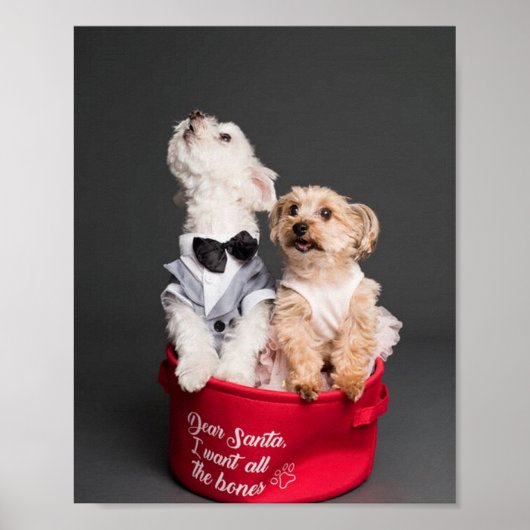 サンタ親愛、骨が全部欲しい ポスター (正面)