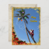サンタ飾のヤシの木 シーズンポストカード (正面/裏面)