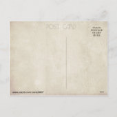 サンタ飾のヤシの木 シーズンポストカード (裏面)