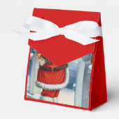 サンタ001 フェイバーボックス (正面サイド)