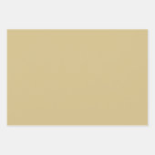 サンタ5号包装紙 ラッピングペーパーシート (正面3)