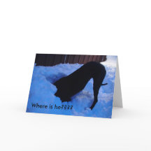 サンタ – どこ????