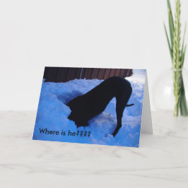 サンタ – どこ???? シーズンカード