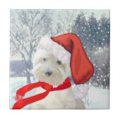 サンタ・イン・ブーツ タイル (正面)