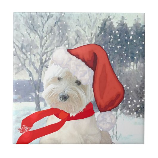 サンタ・イン・ブーツ タイル (正面)