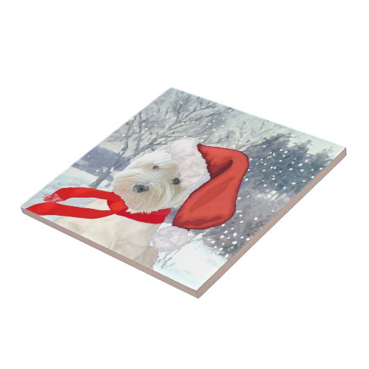 サンタ・イン・ブーツ タイル (側面)