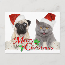 サンタ・キャット・アンド・ドッグのメリークリスマス ポストカード