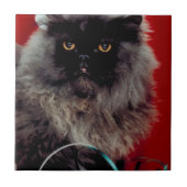 サンタ・キャット タイル (正面)