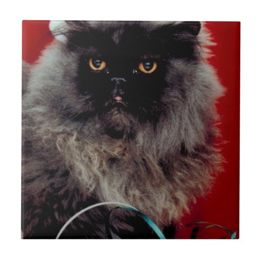 サンタ・キャット タイル (正面)