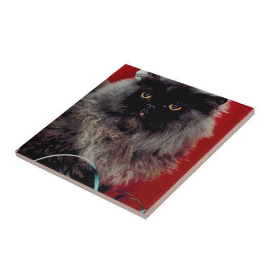 サンタ・キャット タイル (側面)