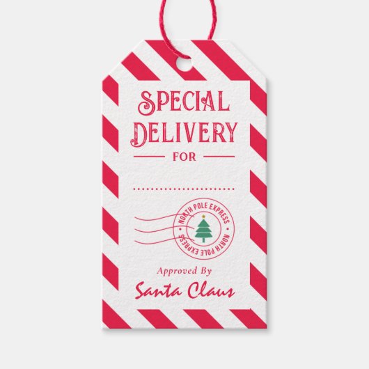 サンタ・クリスマスギフトタグからの特別な配達 ギフトタグ (正面)