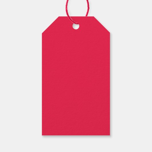 サンタ・クリスマスギフトタグからの特別な配達 ギフトタグ (裏面)