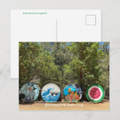 サンタ・クルスからの挨拶！ ポストカード (正面/裏面)